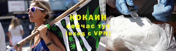 сатива Армянск