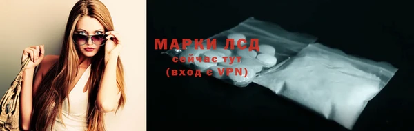 ешки Аркадак