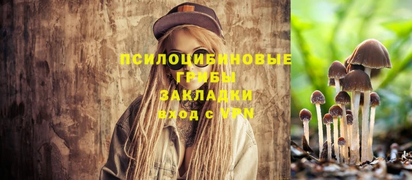 МДПВ Арсеньев