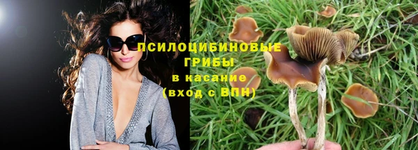 МДПВ Арсеньев