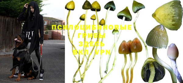 МДПВ Арсеньев