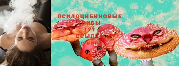 ешки Аркадак
